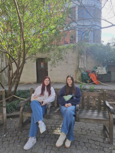 da7ba0fd-f80a-4e25-9301-0df74107d5c0 